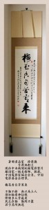 徐楚徳梅花香自苦寒来2013.5.29